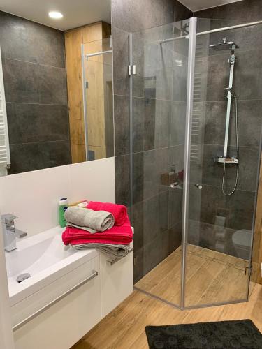 Apartament studio z widokiem na Odrę Bulwary Książęce, Wroclaw (foto 9)