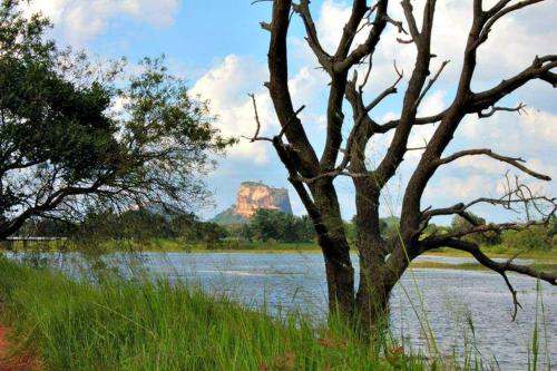 RHO Sigiriya Lake Edge Retreat