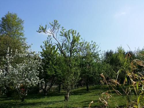 Au gite Dolois