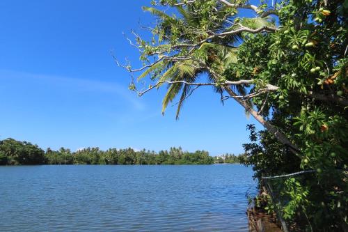 Lake Life Villa