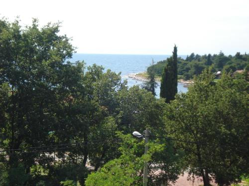  Apartments Krizine in Umag