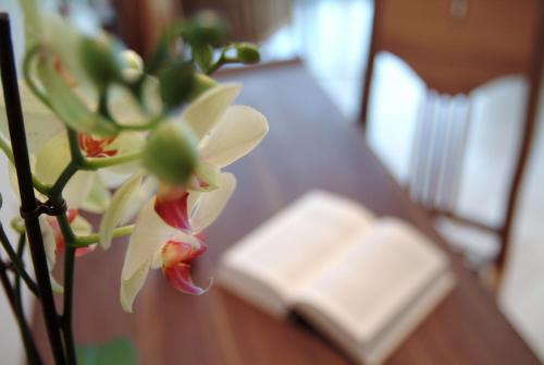 Waldhotel Davos - for body & soul - image 5