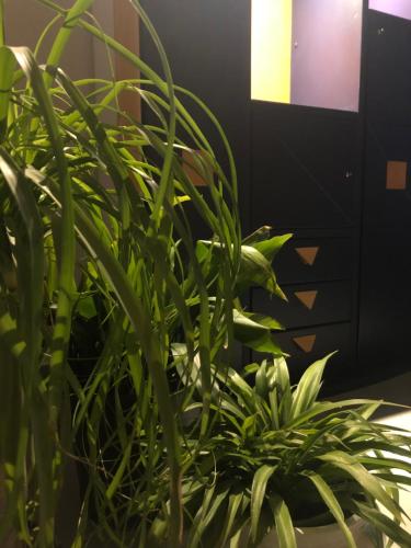 Santa Maria La Nova 21 Rooms & Suites