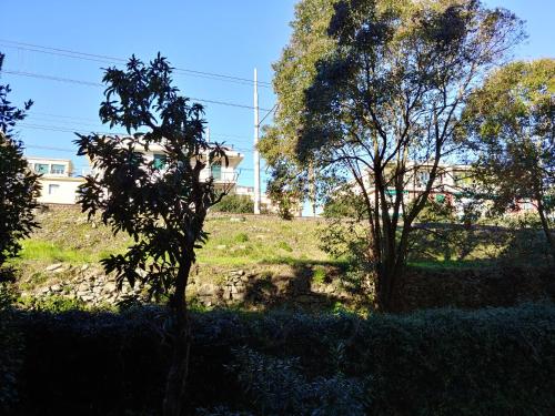 CASA DIPINTA - image 8