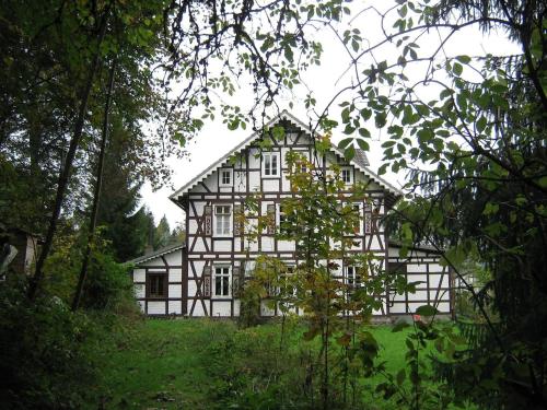 FeWo Landhaus Ederlust HeilungsRäume eV (FeWo Landhaus Ederlust HeilungsRaume eV) in Hatzfeld