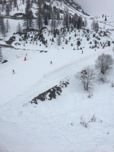 LE MONTAGNARD LE MONTAGNARD