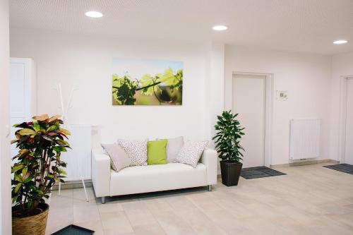 Steira-Studios in Ehrenhausen, Österreich