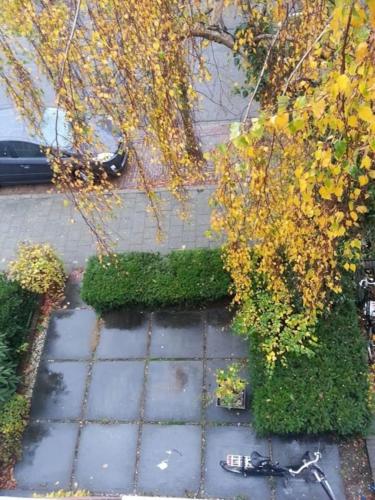  Etage voor 1-3 pers in Nijmegen-centrum in Nijmegen