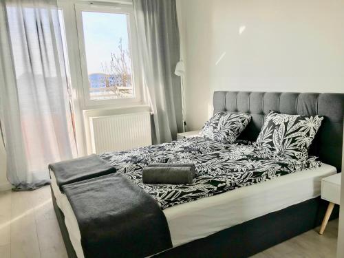Apartament Antoniny - Apartment - Leszno