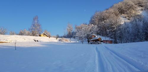 Ranch Diamond - image 8