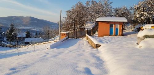 Ranch Diamond - image 11