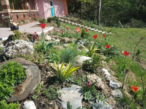 Ranch Diamond Sarajevo Ranch Diamond Sarajevo