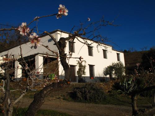 Casa Rural El Paraje de Berchules - Accommodation - Bérchules