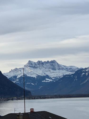 TOP Montreux Centre 2-8 p., view lake and Chillon Castle Montreux