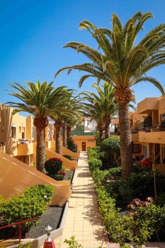 Garten, Luxury Cayetana, by Comfortable Luxury in Fuerteventura