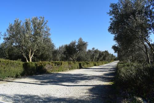 Agriturismo Baglio Pollicarini