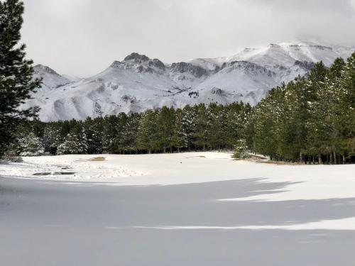 Chalé in Chapelco Golf, San Martín de los Andes (foto 9)