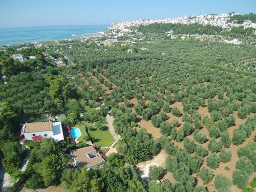 Masseria La Chiusa Delle More