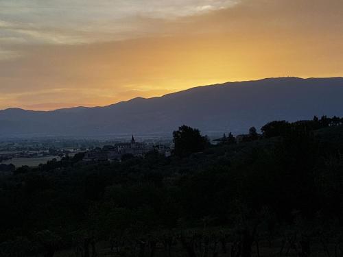 拉特奴塔棣里科尔迪酒店