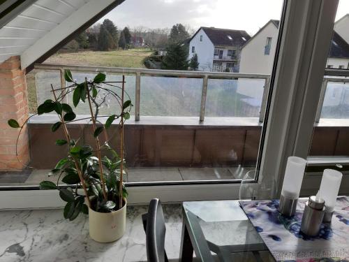 FeWo Luneburger Heide - Hans-Hermann in Bad Bevensen