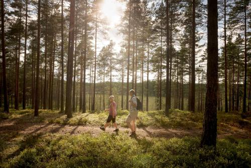 First Camp Hokensas-Tidaholm Galleberg