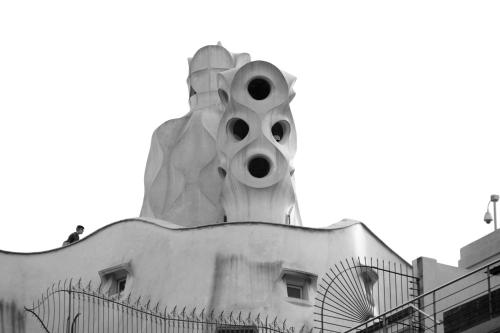 Limonaia - image 3