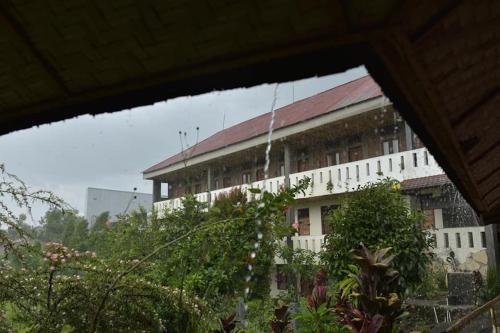 View, PIAS POPPIES HOTEL in Rantepao