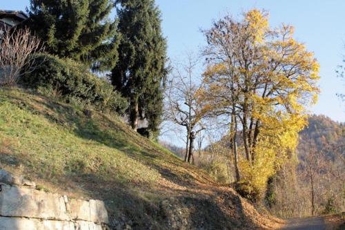 LA CASA DEI CILIEGI