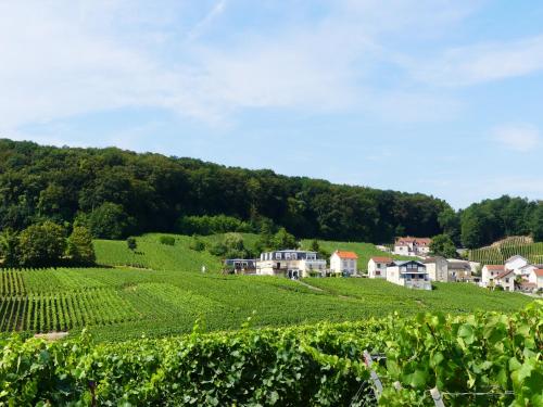 B&B en Champagne - Chambre d'hôtes - Cramant