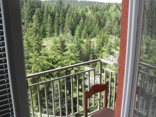 Hotel Lovac - image 14