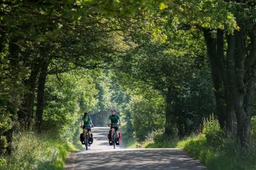 Hotel Dania - image 7