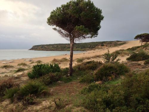 Casita de Bolonia - image 13