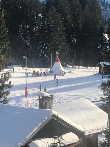  Route des Joncs 300 Appartemen, Pension in Les Paccots bei Les Sciernes dAlbeuve