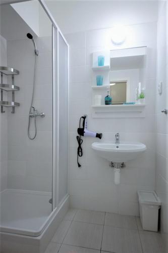 Aparthotel Wenceslas, Praha (fotografie 6)