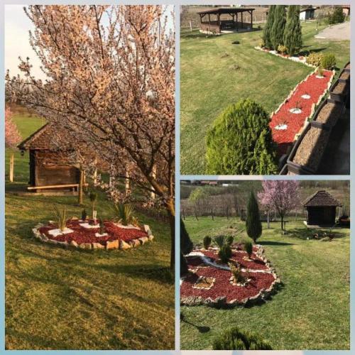 Holiday Home Rodjak sa sela - image 9
