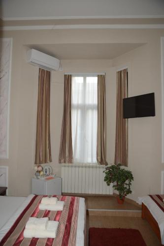 Apartments Skadarlija - image 5