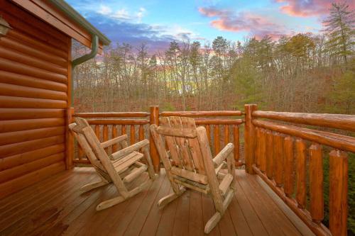 Pool And Theater Lodge - image 3
