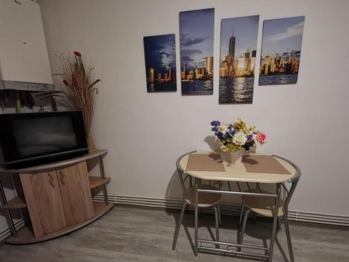 CENTRAL STUDIO HUNEDOARA