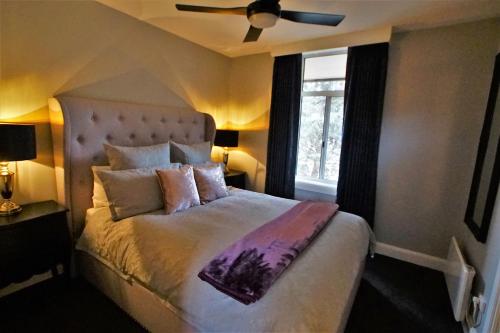 City Life Apartment-full kitchen & separate bedroom
