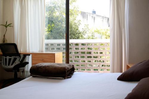 Coyoacan City Lofts