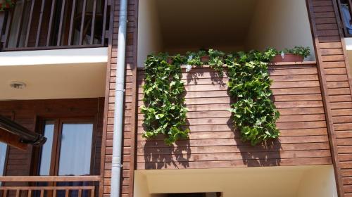 One-Bedroom Apartment image 5