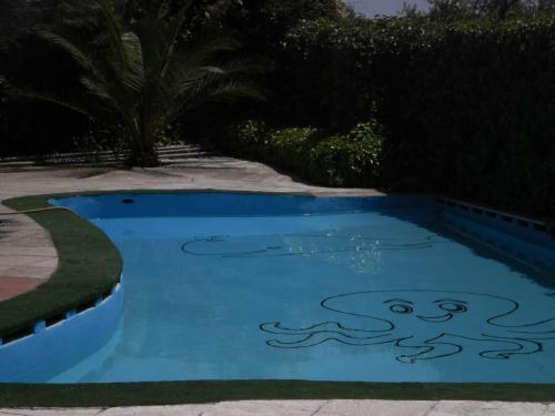 Hostal San José - image 13