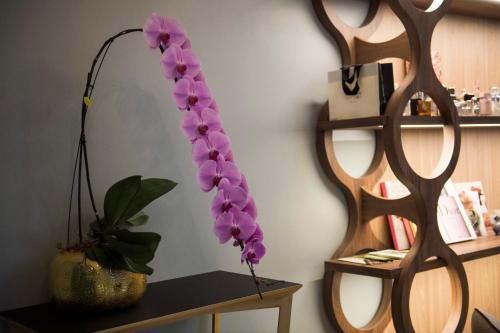 Hôtel Mercure Paris Suresnes Longchamp - image 8