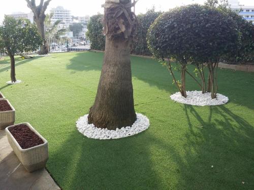Triple room, terrace, 3 beds