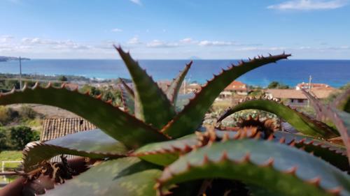 San Carlo - Terrazzo sul Mare con Ristorante e Pizzeria – Zambrone, NV