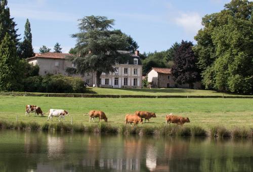 Masbareau, Demeure de Charme, B&B - Accommodation - Royères-Saint-Léonard