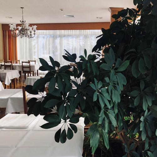 Hotel Regina Terme - image 12