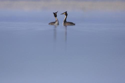 Casa di Giulia (Bambini gratis fino a 6 anni)