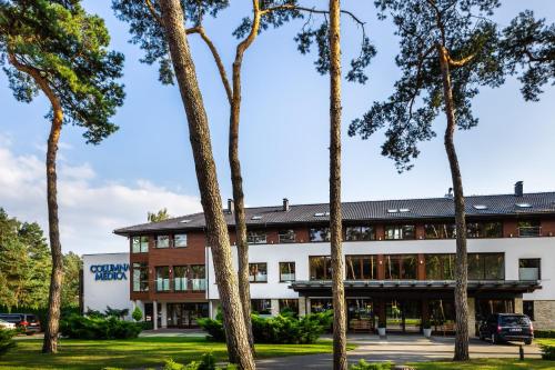 Columna Medica - image 9