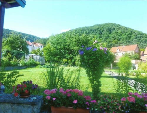 Ferienwohnung Bergblick - inklusive Bodetal Therme